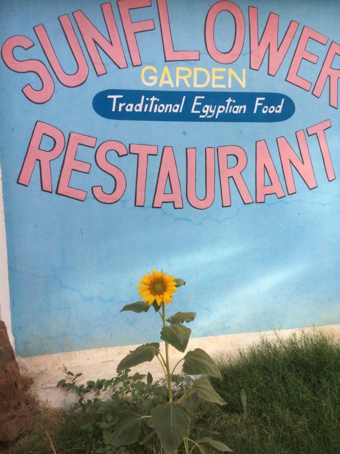 Sunflower Guest House Luxor West Bank Exteriör bild